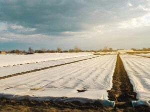 Спанбонд для укрытия растений