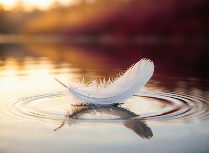 50 мудрых цитат и афоризмов про честность