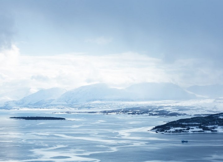 Почему в дикой природе белый медведь никогда не ест пингвина?